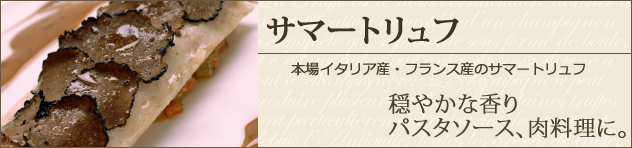�H�g�����t
