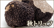 フレッシュ 秋トリュフ