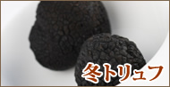 フランス産 冬トリュフ